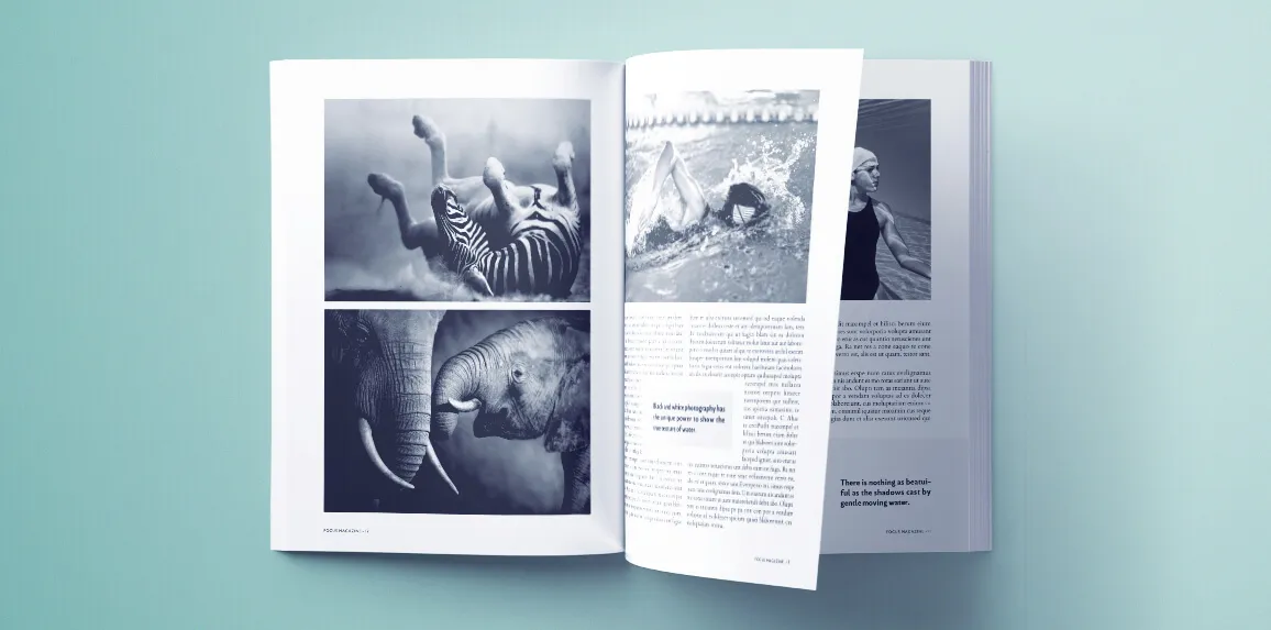 How to Buy The Best Magazine Templates for Photographers - Top World Zone